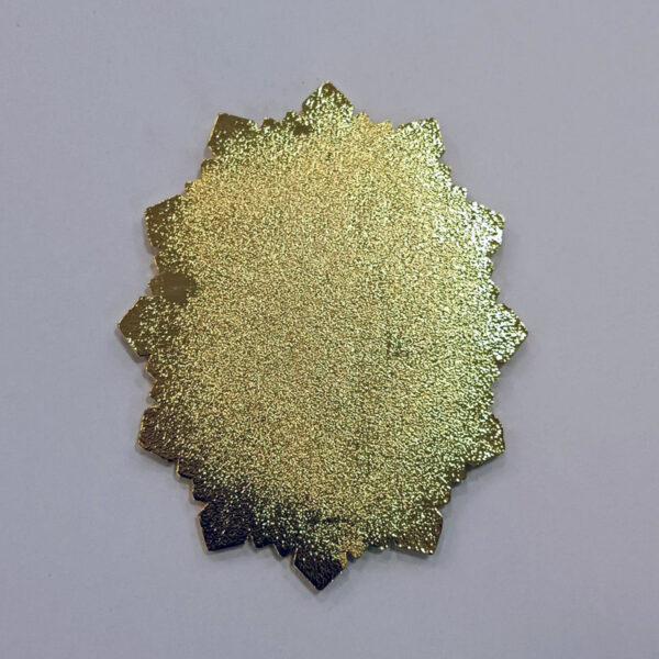 Chapa para Cartera BRIPAC - Imagen 2