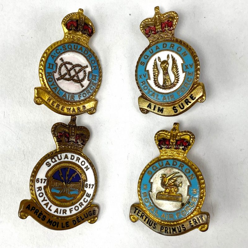 Insignia Pin RAF 93 escuadrón expedicionaria armamento
