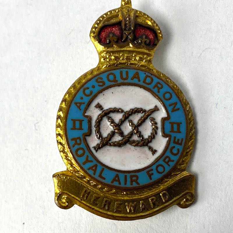Insignia Pin RAF Unidad de señales de 91 