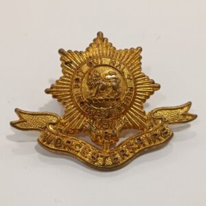 Insignia Worcestershire Regiment