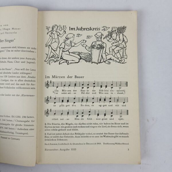 Libro Canciones Infantil y Juvenil Alemán