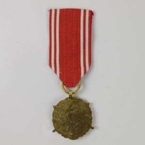 Medalla 20 años de Servicio en las Fuerzas Armadas