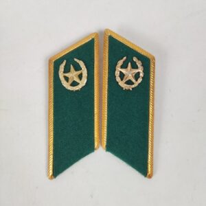 Insignia de Solapa Guardia de Fronteras Soviética