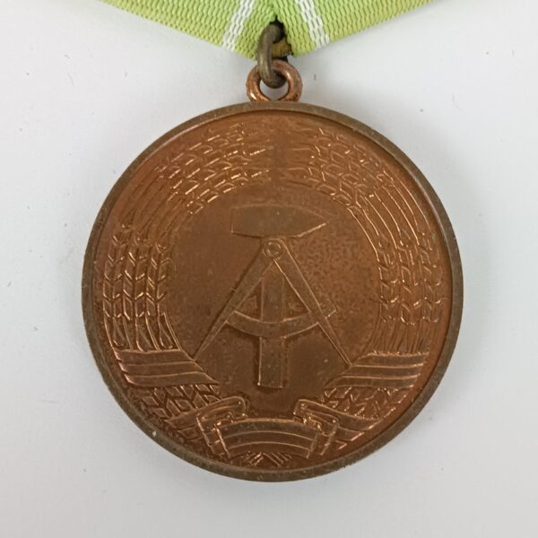 Medalla Excelencia Cuerpos Armados MdI RDA