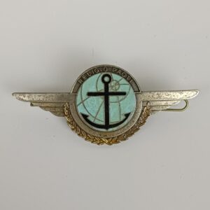 Distintivo militar de unidad alas Francia