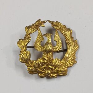 Distintivo de cuello Dragones de Numancia Nº11