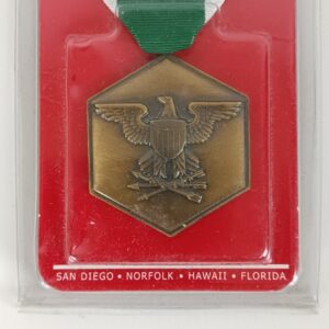 Medalla de elogio de la Armada y el Cuerpo de Marines