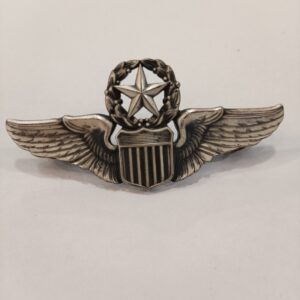 Insignia Alas Piloto USAF Vietnam 1/20 Plata USA
