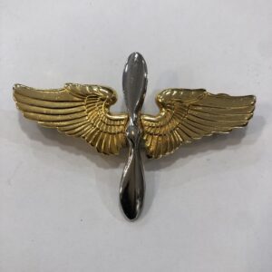 Insignias de gorra para Cadete de la USAAF WW2 USA