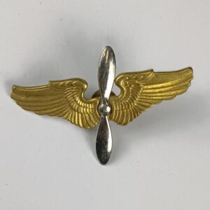 Insignias Cadete USAAF WW2 USA