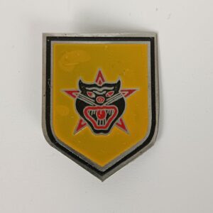 Insignia Rangers de Vietnam del Sur 1951-1975