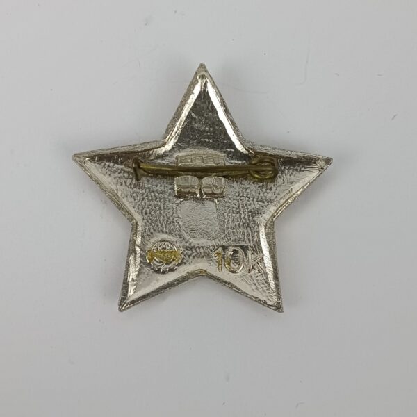 Insignia Pequeños de Octubre Lenin URSS - Imagen 2