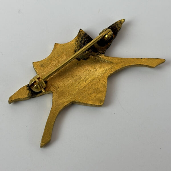 Insignia asistente de campo US Army USA - Imagen 2