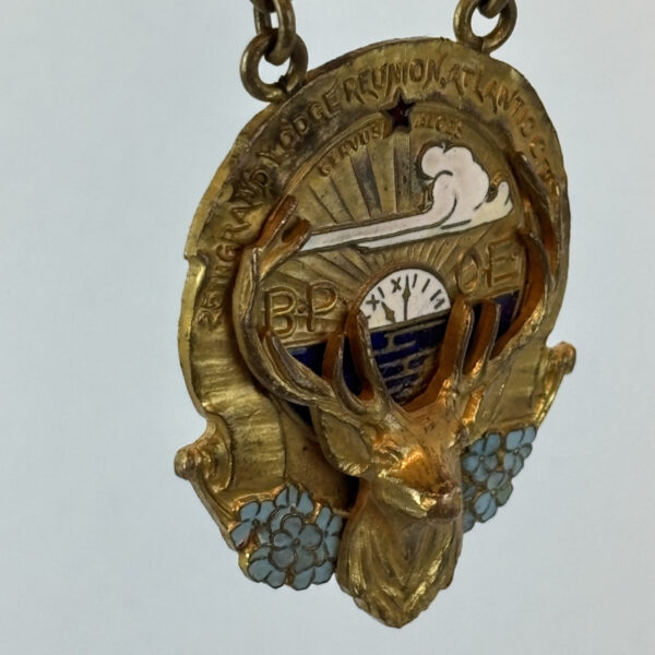 Insignia de la Fraternidad BPOE 1911 USA - Imagen 6