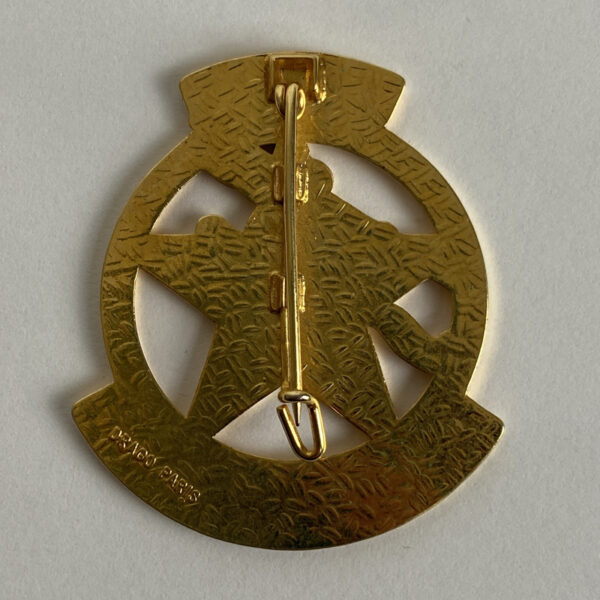 Insignia del 2.º Escuadrón del RICM Francia - Imagen 2