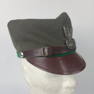 Gorra de diario Ejercito de Tierra Polonia