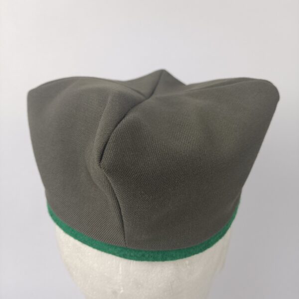 Gorra de diario Ejercito de Tierra Polonia - Imagen 5