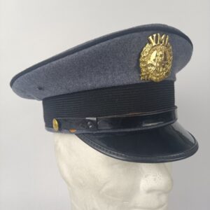 Gorra Instituto Militar de Virginia USA