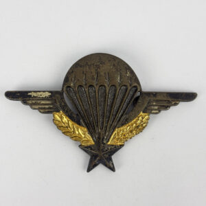Insignia Alas de Paracaidista Francia