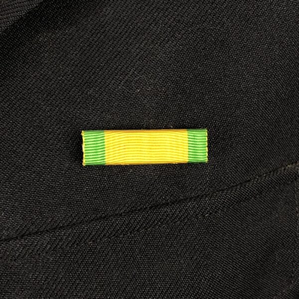 Chaqueta 8º batallón  de cazadores a pie Francia - Imagen 5