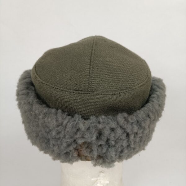 Gorra invernal del Ejército de Tierra de Alemania RDA - Imagen 5
