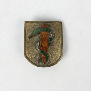 Insignia Licenciado en Medicina Militar España