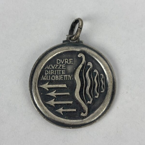 Medalla Regimiento Flechas Azules Guerra Civil España Repro - Imagen 2