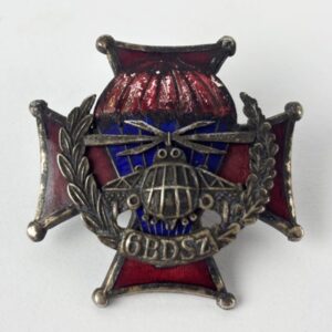 Insignia 6ª Brigada de Asalto Aerotransportado de Polonia