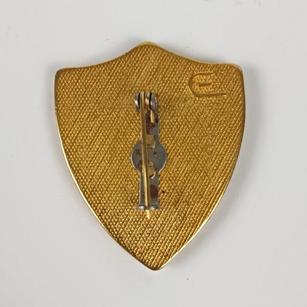 Insignia 1r Batallón CC Paracaidista "Tuscania" Italia - Imagen 2