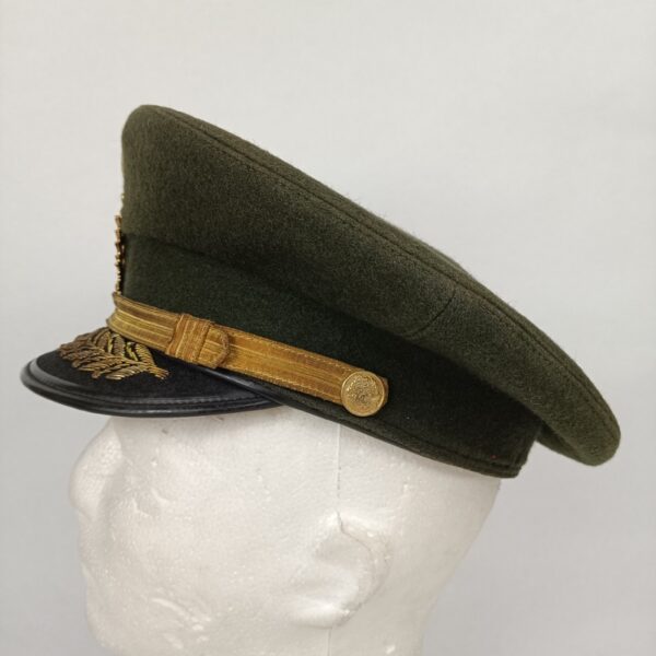 Gorra de Coronel del Ejército de Venezuela - Imagen 4
