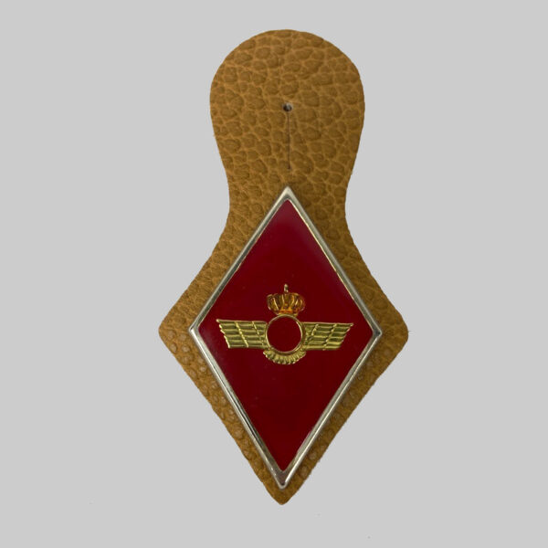 Pepitos de Aviación de la Fuerza Aérea España