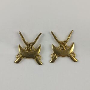 Distintivo de Regulares para solapa