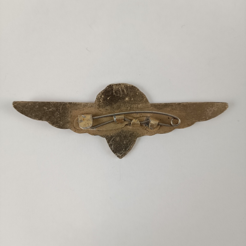 Insignia Alas de Piloto de 3ª Clase Aeroflot - Imagen 2