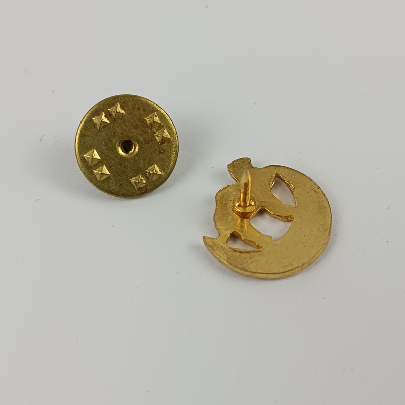 Insignia Camello del Sahara España - Imagen 3