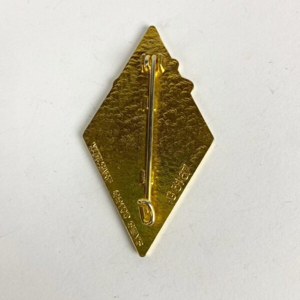Insignia 159 Regimiento de Infantería Alpina Francia - Imagen 2