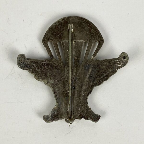 Insignia de la EZAPAC España - Imagen 2