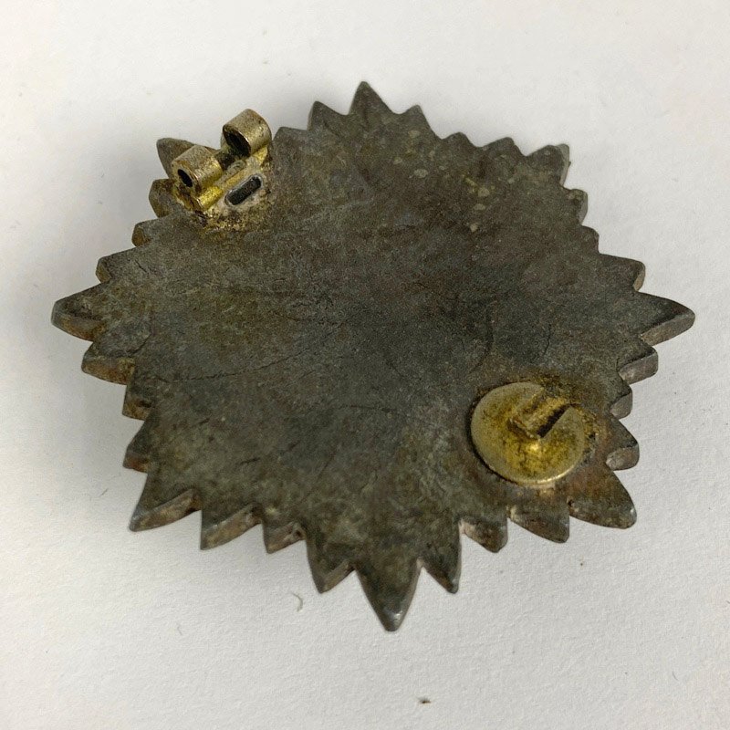 Medalla del Ostvolk 1ª Clase Plata con espadas Alemania WW2 - Imagen 4