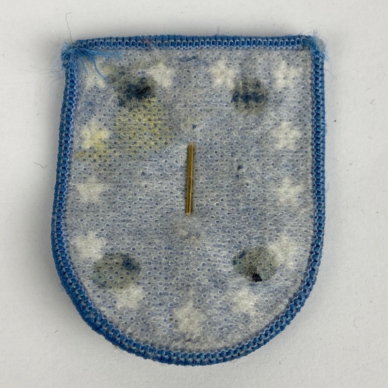 Insignia 231 Batallón de Ingenieros de Combate USA - Imagen 2