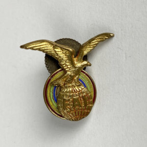 Insignia Federación Aeronáutica Internacional FAI