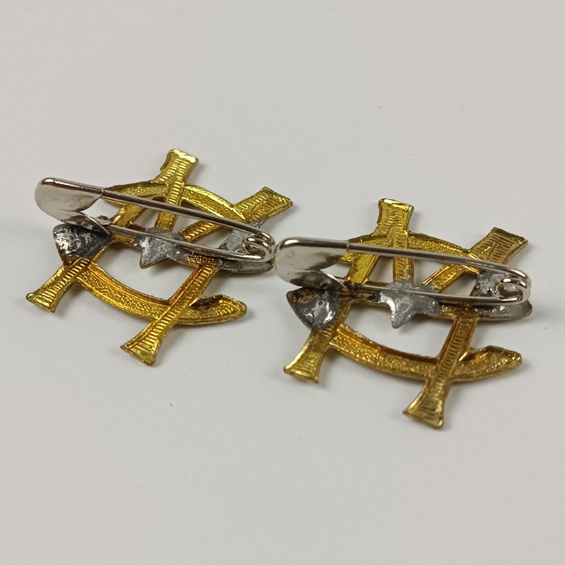 Insignia de Sanidad Militar España - Imagen 3