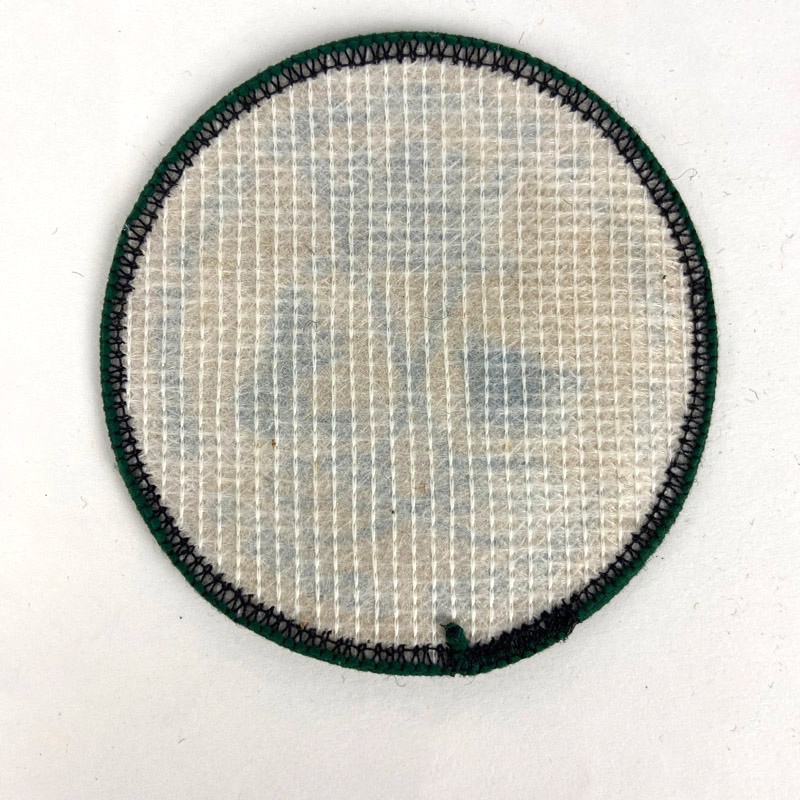 Parche Argyll & Sutherland Highlanders Princess Louise’s - Imagen 2