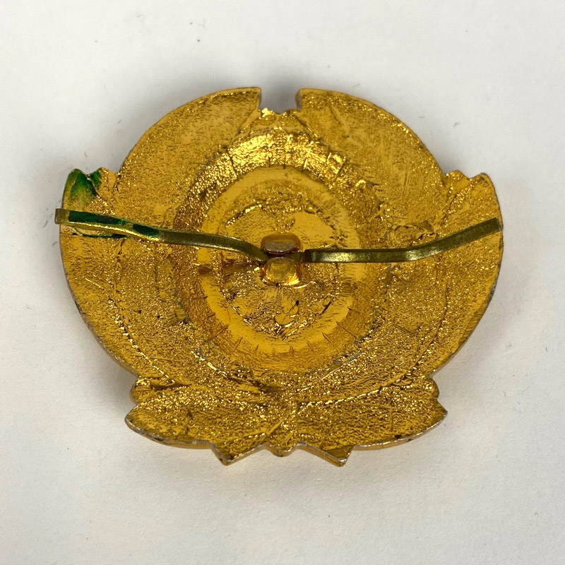 Insignia de Gorra de Oficial Ferroviario URSS - Imagen 2