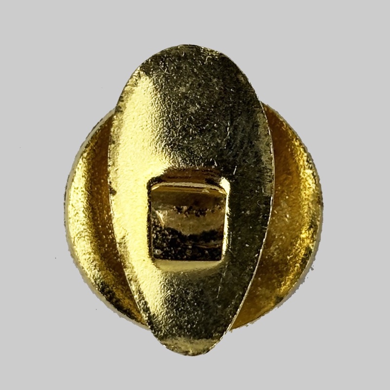 Miniatura pin de Excombatiente de las Fuerzas Españolas - Imagen 2