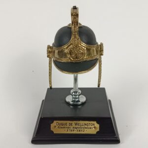 Cascos Históricos SALVAT 1:5 Duque de Wellington