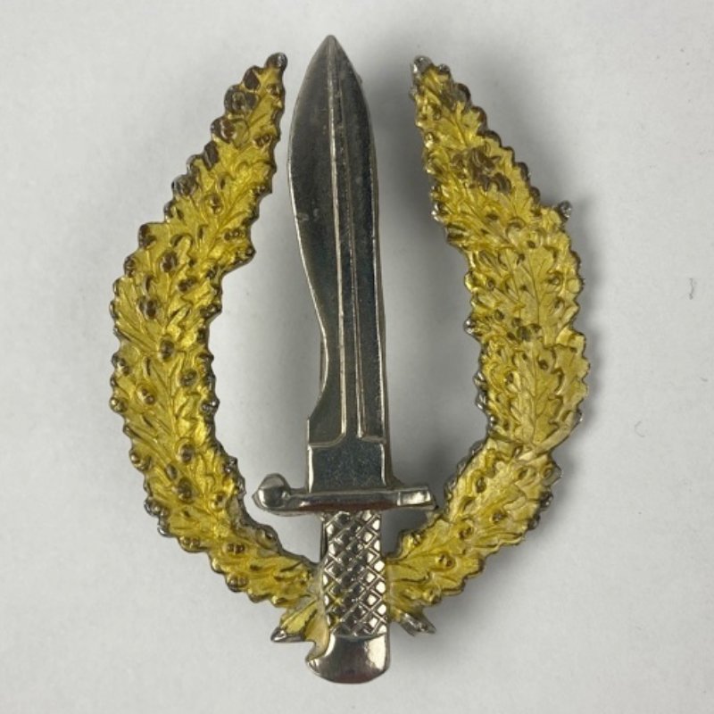 Insignia de Boina COE